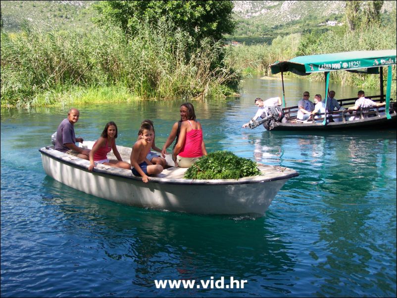 Mesic u Vidu (26)